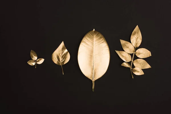 close up view of shiny golden leaves arranged in line isolated on black