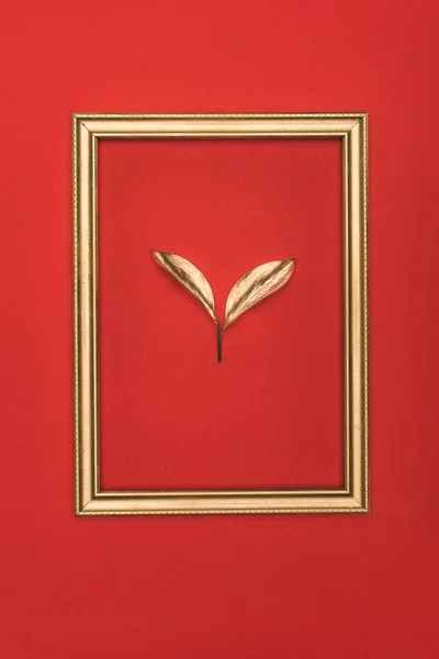 Top View Golden Photo Frame Plant Isolated Red — Stock Photo, Image