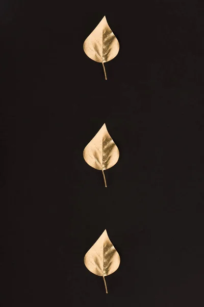 Close View Golden Leaves Designed Line Isolated Black — Stock Photo, Image