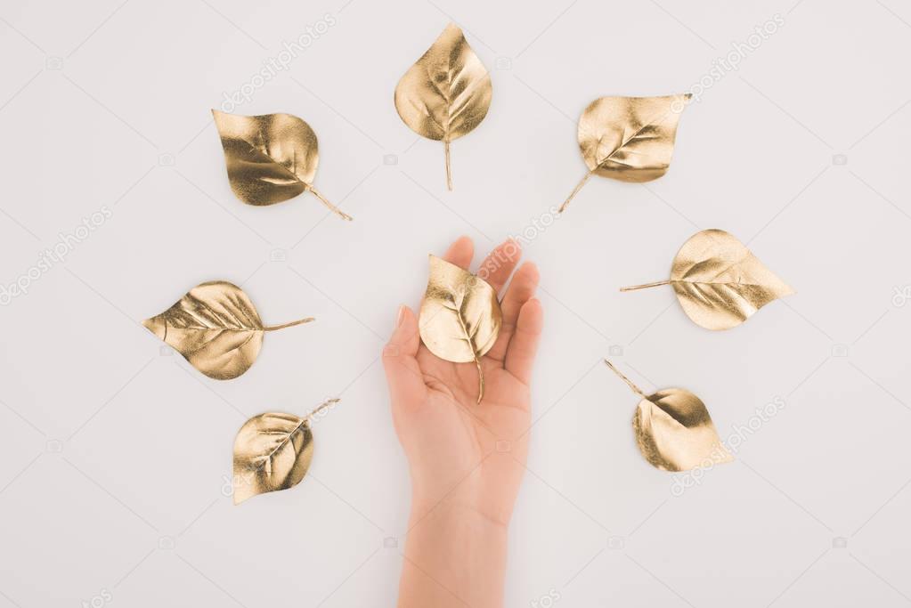 partial view of female hand and arranged golden leaves isolated on grey