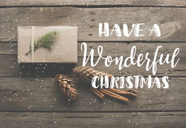 Çam kozalakları ile Noel hediye 