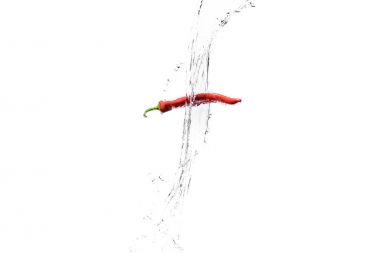 red hot chilli pepper in water splashes isolated on white clipart