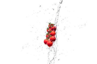  su sıçramalarına beyaz izole taze kiraz domates