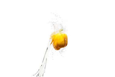 yellow bell pepper in water splashes isolated on white clipart