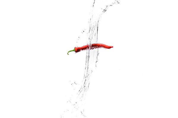 red hot chilli pepper in water splashes isolated on white