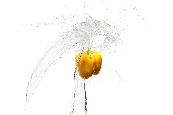 Žlutá Paprika Vodě Tryskající Izolované Bílém — Stock fotografie zdarma