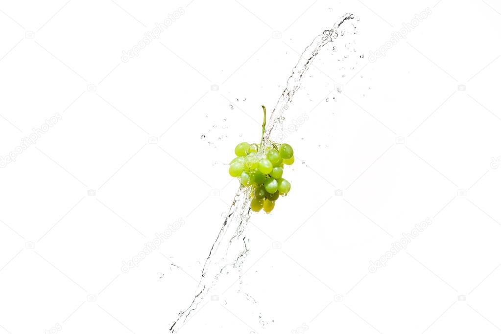  fresh grapes in water splashes isolated on white