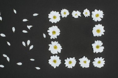 top view of frame of daisies with copy space over black background clipart