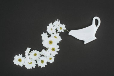 Papatya çiçekler siyah arka plan üzerinde beyaz demlik Üstten Görünüm