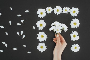 top view of cropped female hand with frame of daisies over black background clipart