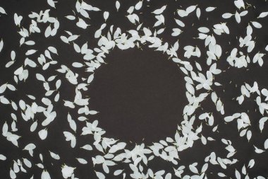 top view of petals forming circle frame over black background clipart