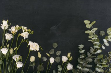 Картина, постер, плакат, фотообои "вид сверху на цветы эустомы с листьями эвкалипта на черном фоне постеры города природа", артикул 176757144