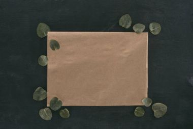 top view of blank paper envelope with eucalyptus leaves over black background clipart