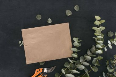 top view of blank paper envelope with garden shears and eucalyptus branches over black background clipart