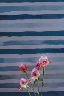 pembe Şakayık çiçekleri çizgili aquarelle arka plan üzerinde