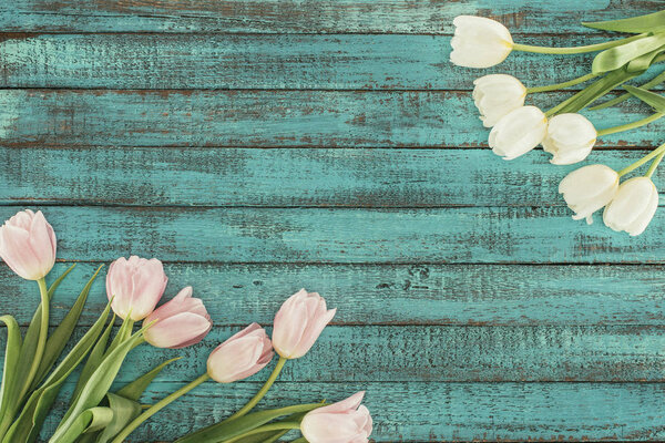 tender blooming tulips over green wooden background with copy space