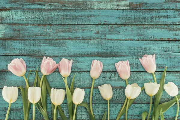Tiernos Tulipanes Florecientes Sobre Fondo Madera Verde Con Espacio Para — Foto de Stock