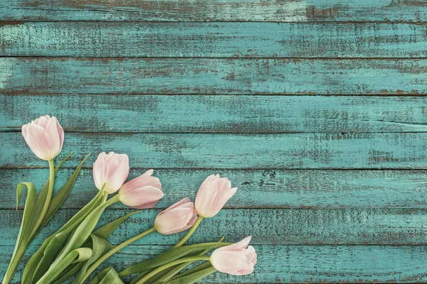 Zarte Blühende Tulpen Über Grünem Holzhintergrund Mit Kopierraum — Stockfoto
