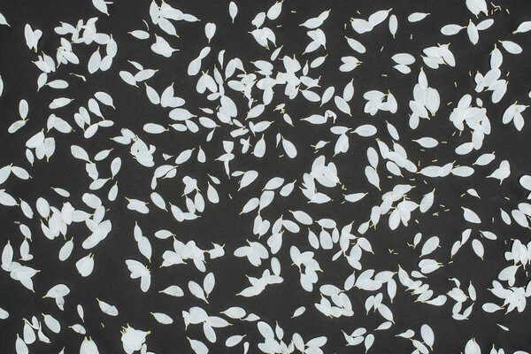 top view of petals heap over black background