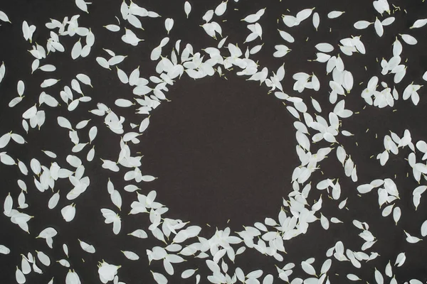 Top View Petals Forming Circle Frame Black Background — Stock Photo, Image