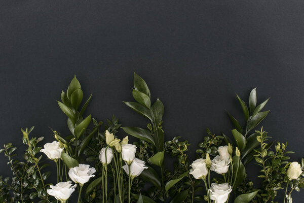 top view of eustoma flowers and branches over black background