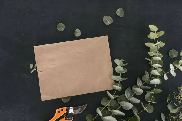 Bovenaanzicht Van Blanco Papier Envelop Met Tuin Schaar Eucalyptus Takken — Stockfoto