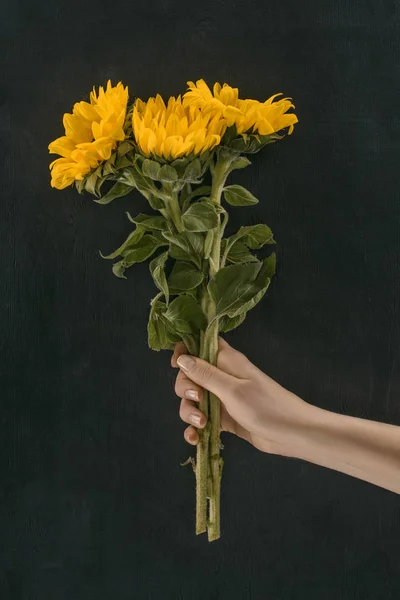 Обрізане Зображення Жіночої Руки Тримає Красиві Соняшники Ізольовані Чорному — Безкоштовне стокове фото