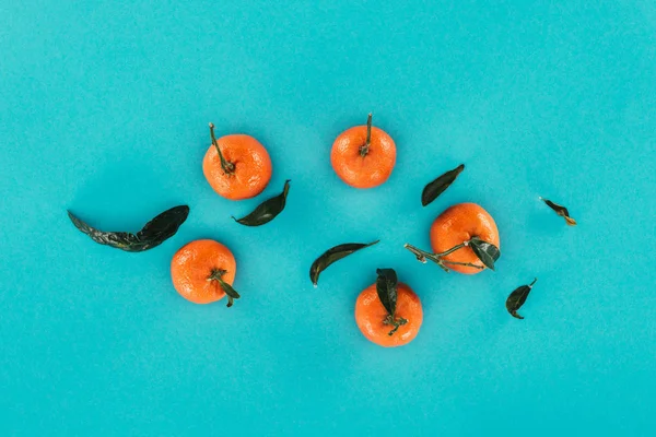 Tendido Plano Con Mandarinas Maduras Hojas Aisladas Azul — Foto de Stock
