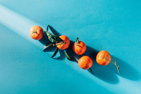 top view of arranged tangerines with leaves on blue surface