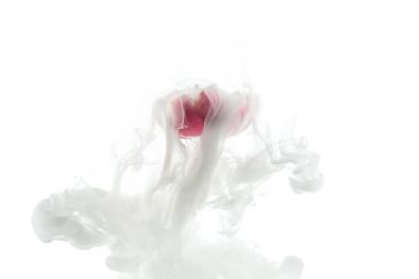 Pembe çiçek ve beyaz boya splash beyaz izole görünümünü kapat