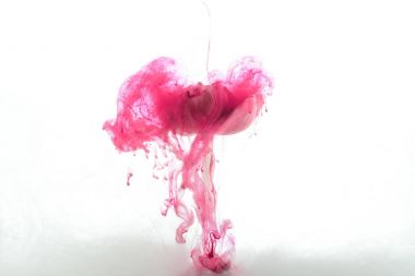 Pembe çiçek ve boya splash beyaz izole görünümünü kapat