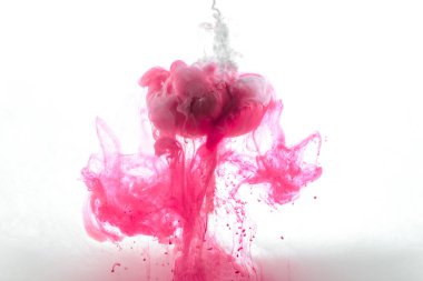 close up view of pink flower and ink splashes isolated on white clipart