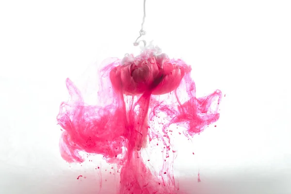 Close View Pink Flower Ink Splashes Isolated White — Stok Foto