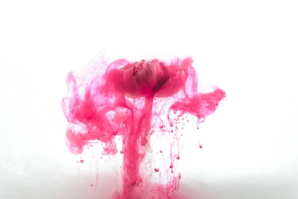 Close View Pink Flower Ink Splashes Isolated White — Stock Photo, Image