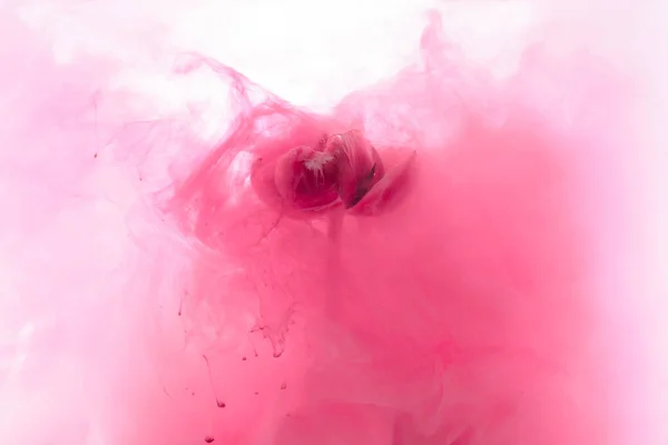 Close View Pink Flower Paint Splash Isolated White — Stock Photo, Image