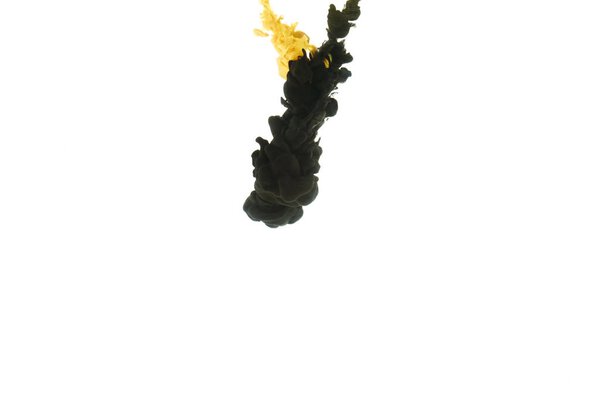 mixing of black and yellow paint splashes, isolated on white with copy space
