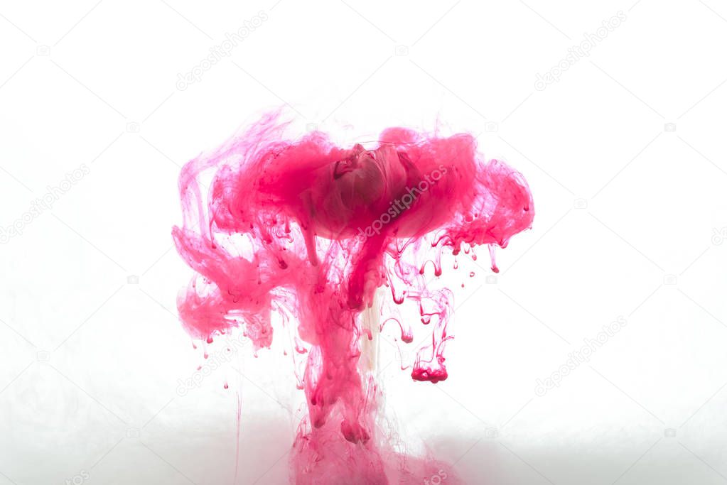 close up view of pink flower and paint splashes and swirls isolated on white
