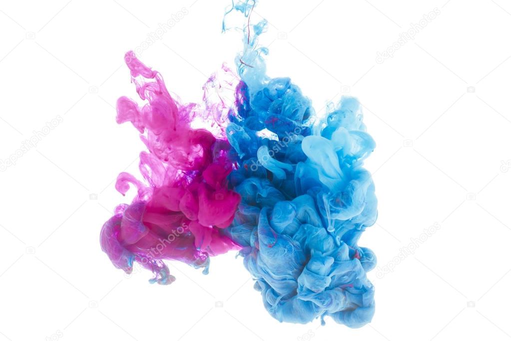 mixing of blue and pink paint splashes isolated on white