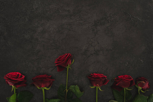 top view of arranged red roses on dark surface