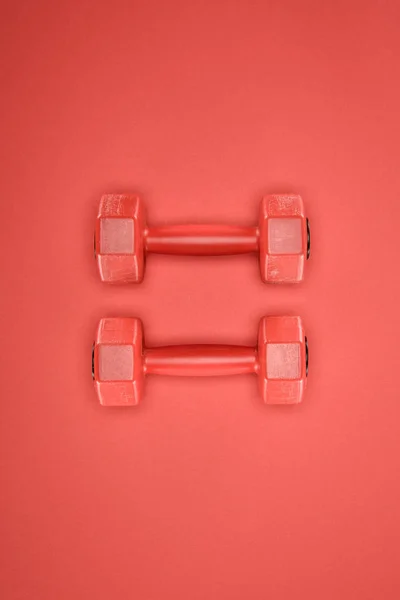 Red Shiny Dumbbells Isolated Red Background — Stock Photo, Image