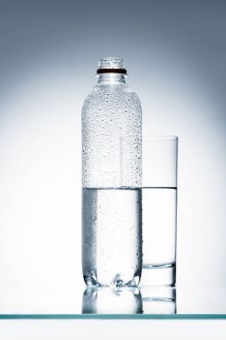 plastik şişe ve bardak su yansıtıcı yüzeyi