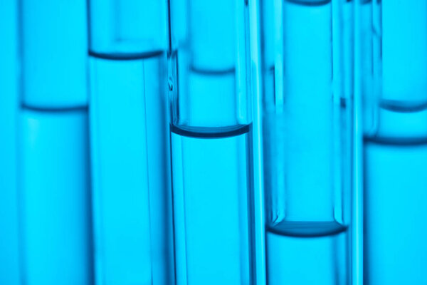 close up view of glass tubes with liquid for scientific test on blue