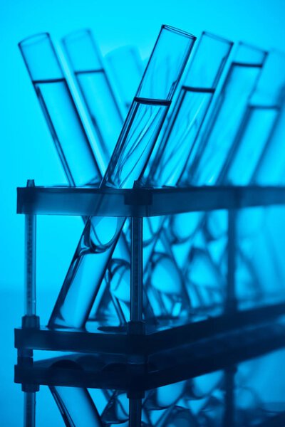 стеклянные трубки с жидкостью на стенде в химической лаборатории на голубом
