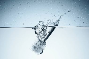 buzlu suda ıslatın ve splash ve damla, üzerinde beyaz izole