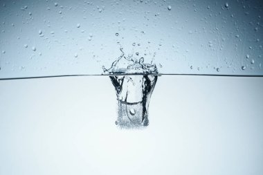 Ice cube üzerinde beyaz izole suda sıçraması