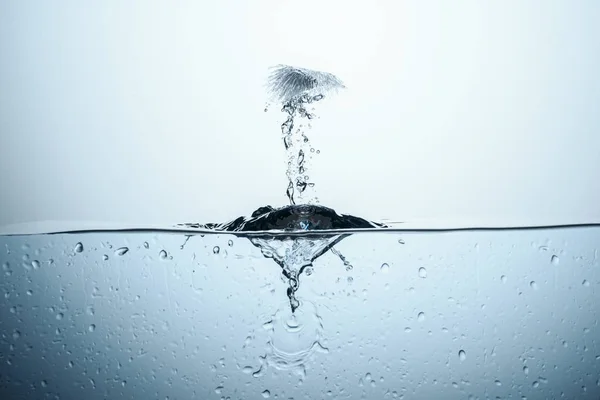 Ice Cube Splashing Water Drops Isolated White — Free Stock Photo