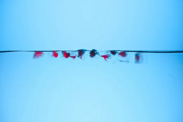Кубики Льда Ягодами Воде Изолированные Голубом — стоковое фото