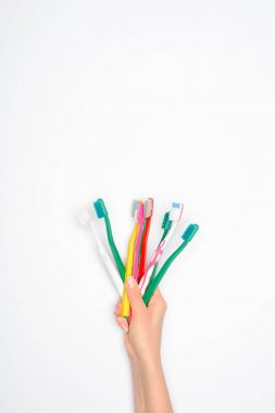 cropped view of woman holding colorful toothbrushes, isolated on white clipart