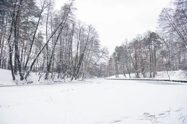Zugefrorener Fluss Und Bäume Verschneiten Wald — Stockfoto