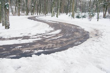 karlı kış ormandaki beton yol